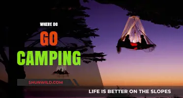 Exploring the Great Outdoors: Top Camping Destinations Unveiled