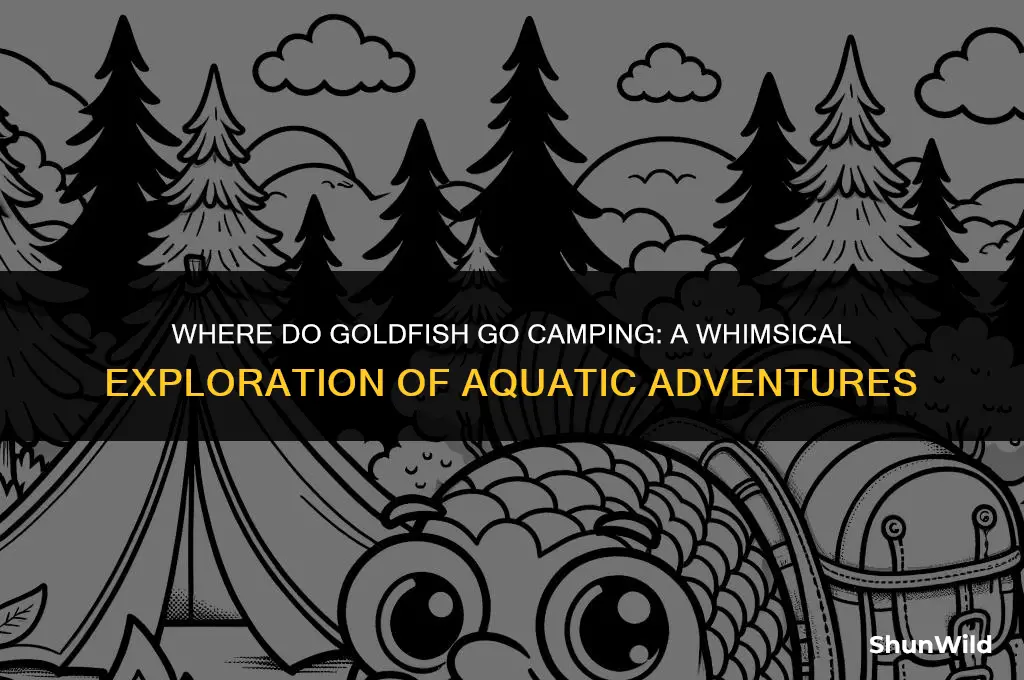 where do goldfish go camping