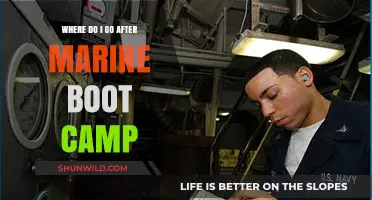 Life After Marine Boot Camp: Navigating Your Next Steps and Career Path