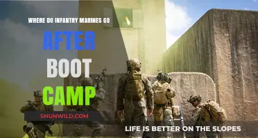 Post-Boot Camp: Infantry Marines' Next Steps and Training Locations