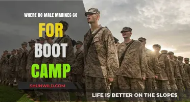 Where Do Male Marines Train? Boot Camp Locations Explained