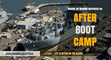 Life After Boot Camp: Marine Reserves' Next Steps and Assignments