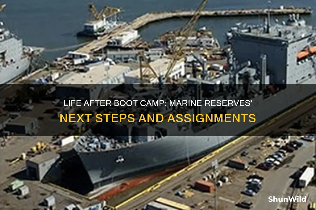 where do marine reserves go after boot camp