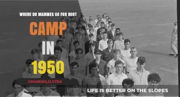 1950s Marine Boot Camp Locations: Where Recruits Trained for Service