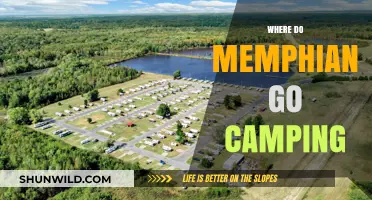 Discover the Best Camping Spots Near Memphis: A Local's Guide