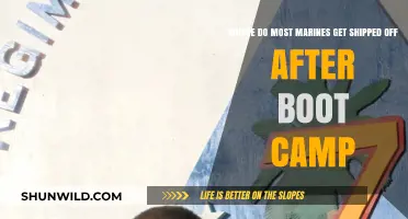 Post-Boot Camp Deployment: Where Marines Typically Get Stationed First
