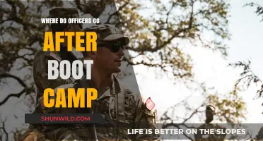 Life After Boot Camp: Next Steps for Military Officers