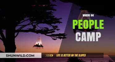 Exploring the Great Outdoors: Where Do People Camp?