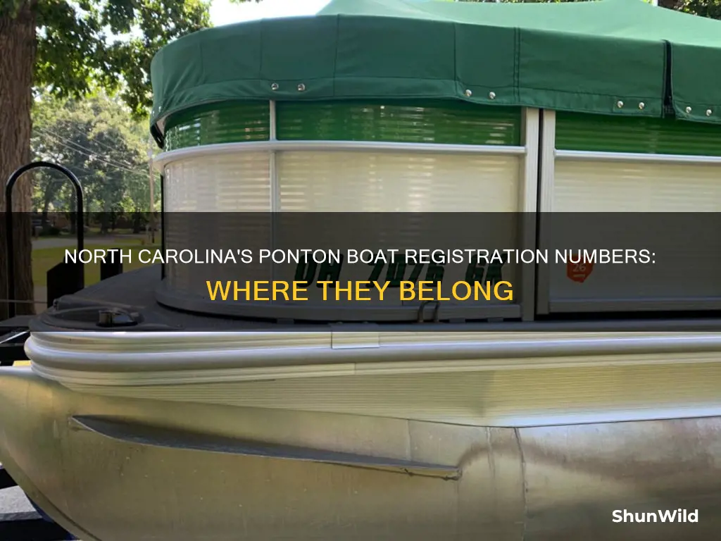 where do ponton boat registration numbers go in north carolina