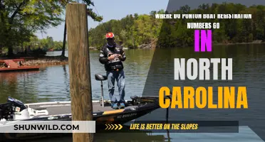 Placement of Pontoon Boat Registration Numbers in North Carolina