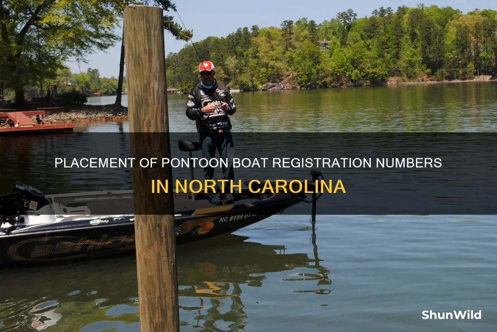 where do ponton boat registration numbers go in north carolina