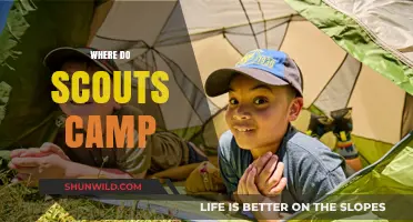Exploring the Great Outdoors: Scout Camping Destinations Unveiled