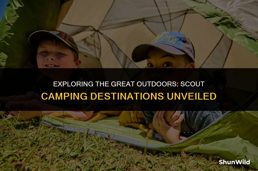where do scouts camp