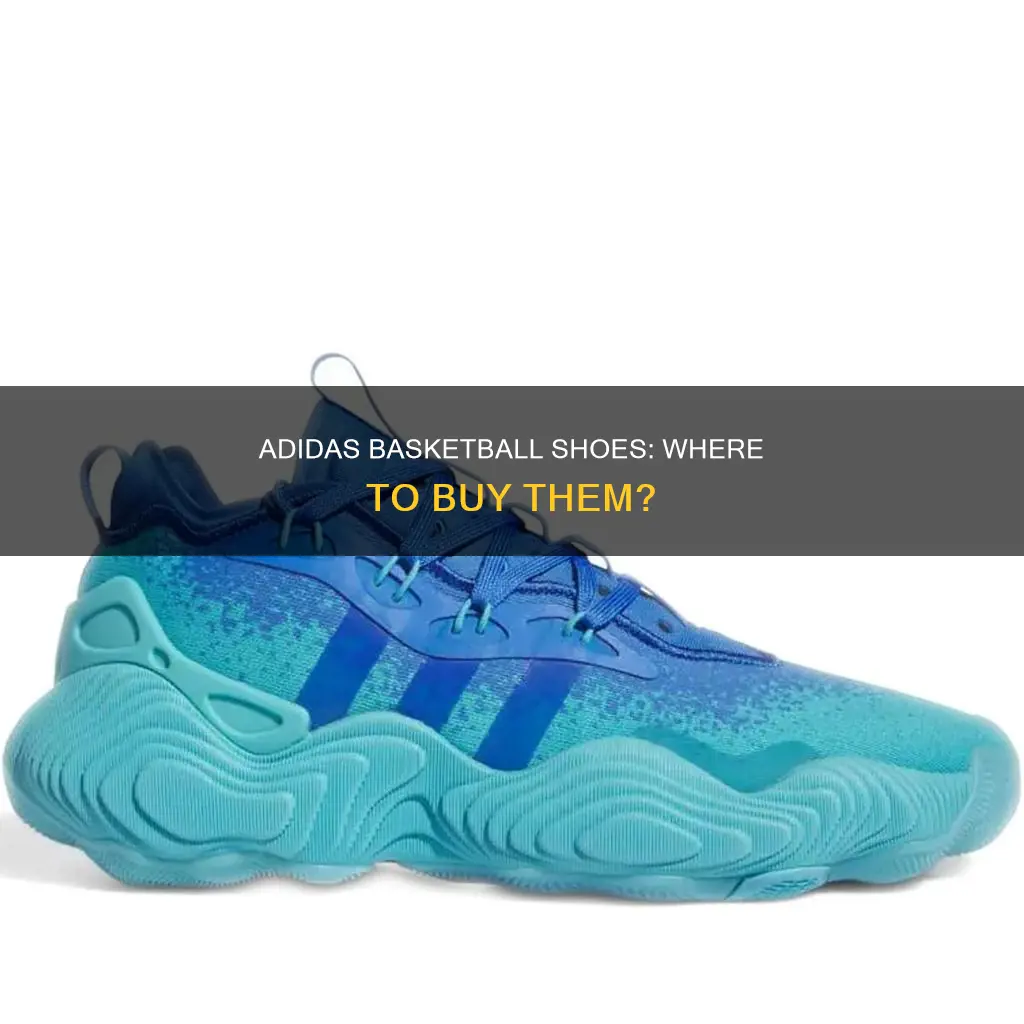 where do they sell addidas basketball shoes
