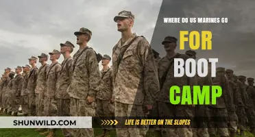 Where Do US Marines Train? Boot Camp Locations Revealed