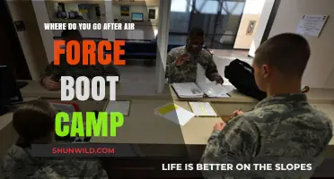 Life After Air Force Boot Camp: Your Next Steps and Assignments