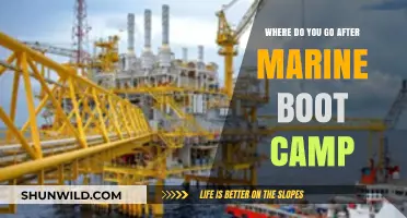 Life After Marine Boot Camp: Navigating Your Next Steps and Career Path