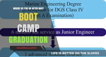 Post-Navy Boot Camp: Next Steps and Career Paths Explained