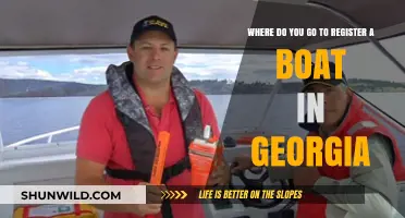 Boat Registration in Georgia: Where to Find Your Mooring