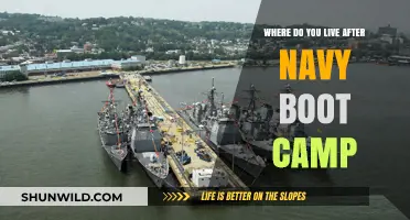 Life After Navy Boot Camp: Choosing Your Next Duty Station