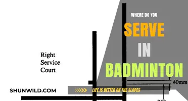 Serving Zones: Badminton's Crucial Areas