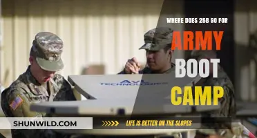 Unveiling the Army's 25B MOS Boot Camp Training Location and Journey