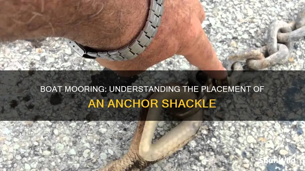 where does a anchor shackle go on a boat