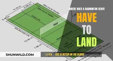 Badminton Serve: Where Should It Land?