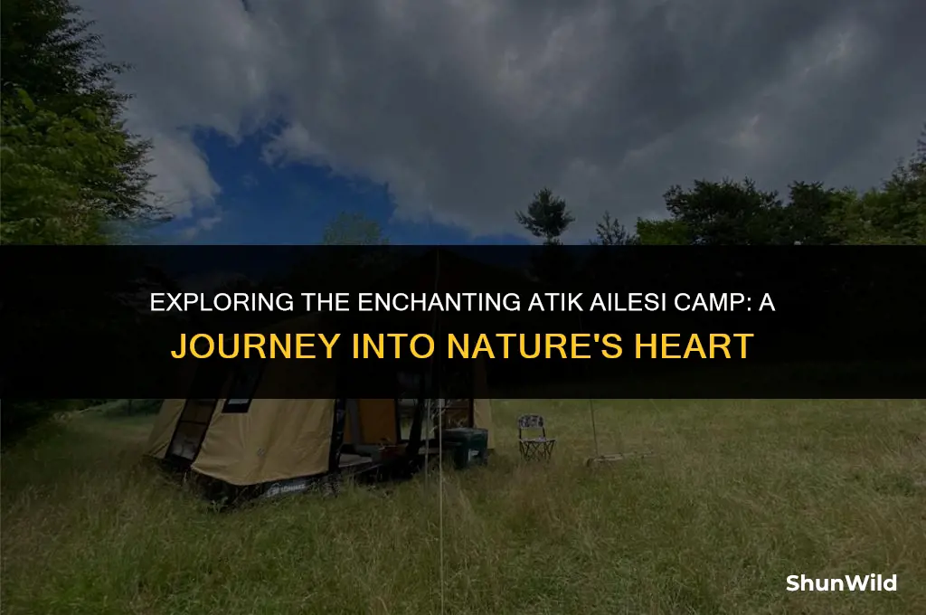 where does atik ailesi camp