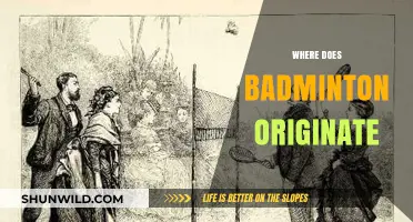 Badminton's Origin Story: A Historical Perspective