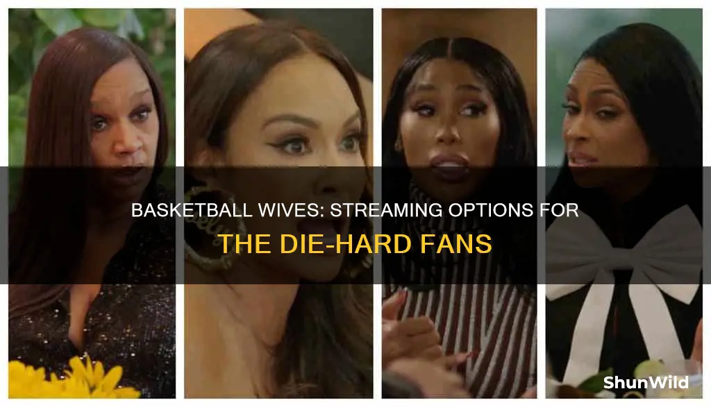 where does basketball wives stream