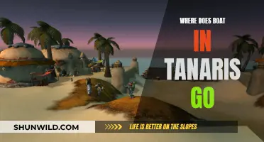 Exploring Tanaris by Boat: Where Does It Go?