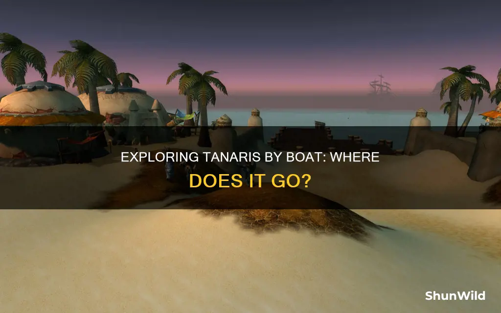 where does boat in tanaris go