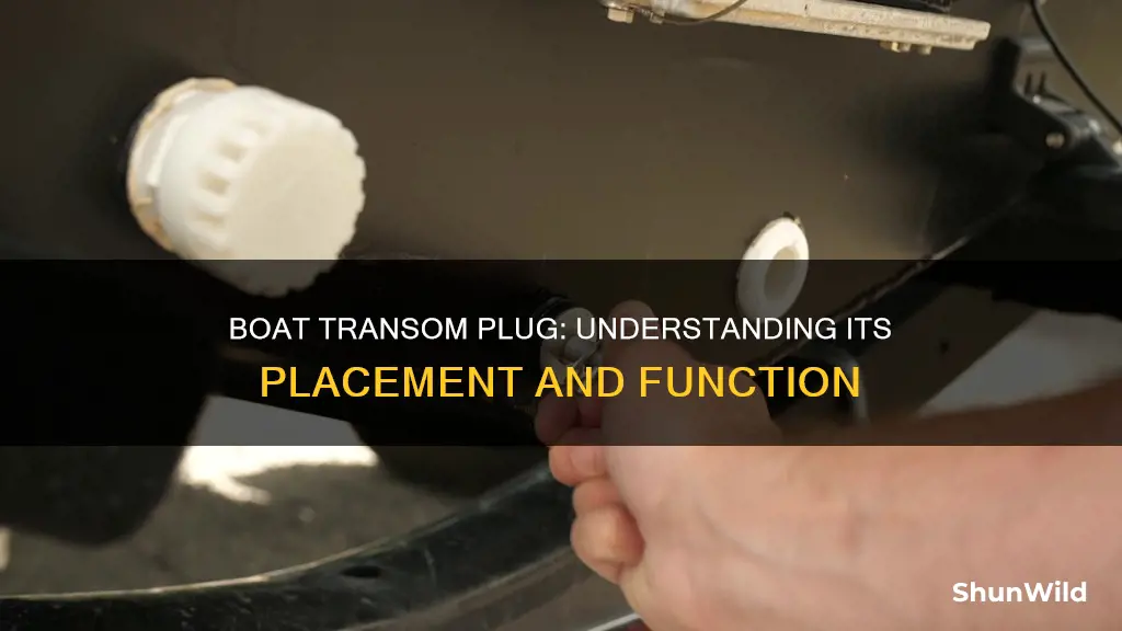 where does boat transom plug go