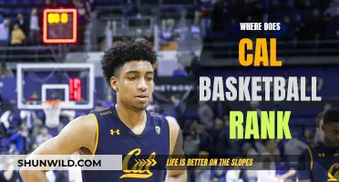 Cal's Basketball Ranking: A Seasonal Analysis