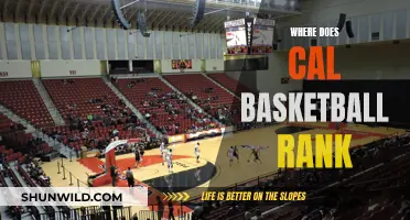 Golden Bears Basketball: Ranking Their Performance