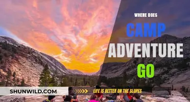 Exploring New Horizons: Camp Adventure's Journey Unveiled
