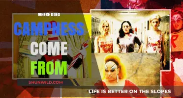 Exploring the Origins of Campness: A Journey into Theatricality and Performance