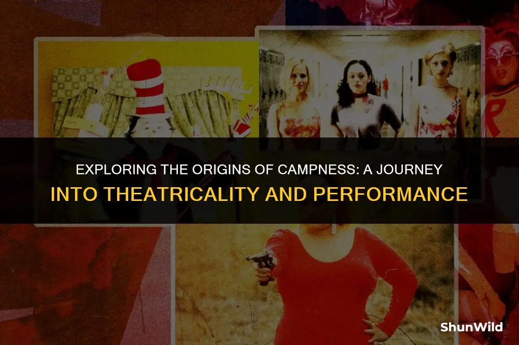 where does campness come from