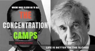 Eliezer's Harrowing Journey Through the Concentration Camps: A Historical Overview