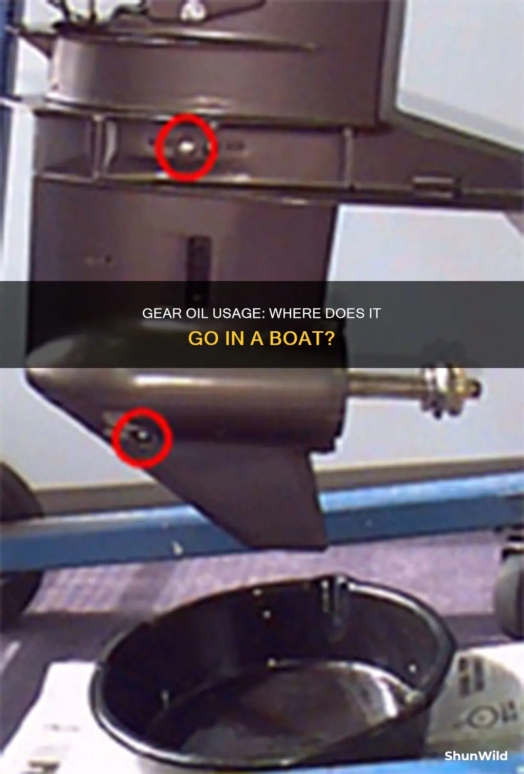 where does gear oil go in a boat