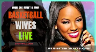 Basketball Wives: Malaysia's Home and Life