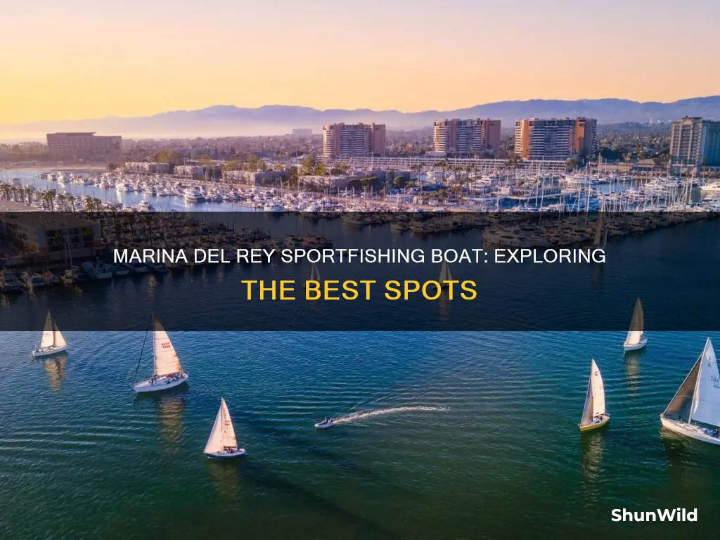 where does marina del rey sportfishing boat go