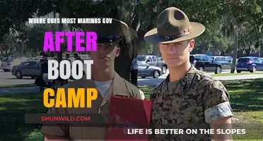 Post-Boot Camp: Where Do Most Marines Go Next?