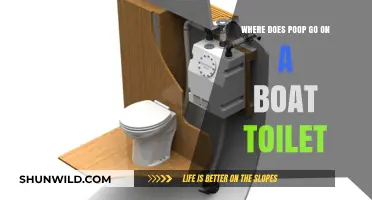 Boat Toilet Waste: Where It Goes and How It's Managed