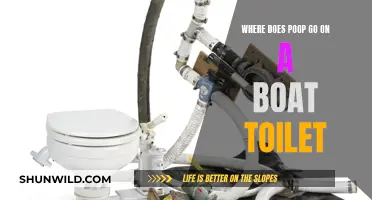 The Mystery of Boat Toilets: Where Does Poop Go?