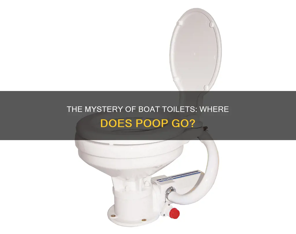 where does poop go on a boat toilet