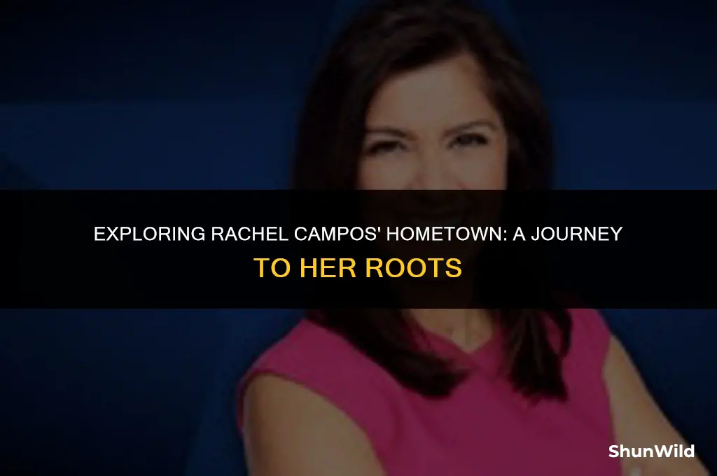 where does rachel campos live
