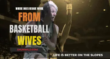 Reggie's Workplace: Basketball Wives and Their Husbands' Careers