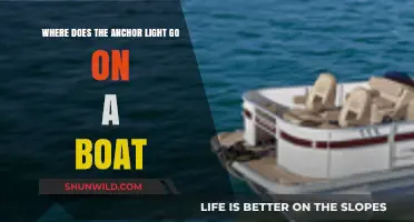 Boat Lighting Basics: Understanding the Purpose of the Anchor Light